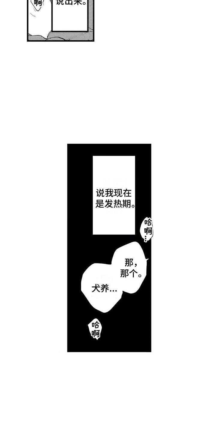 第16章：发热期 3