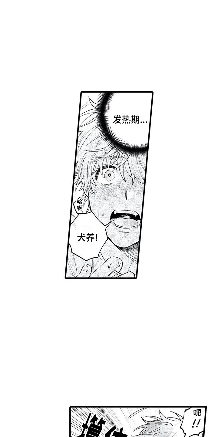 第16章：发热期 11