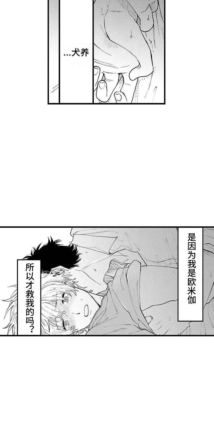 第17章：想要拥有 3