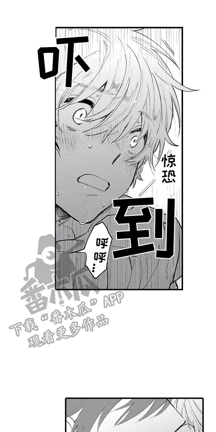第5章：气味 13