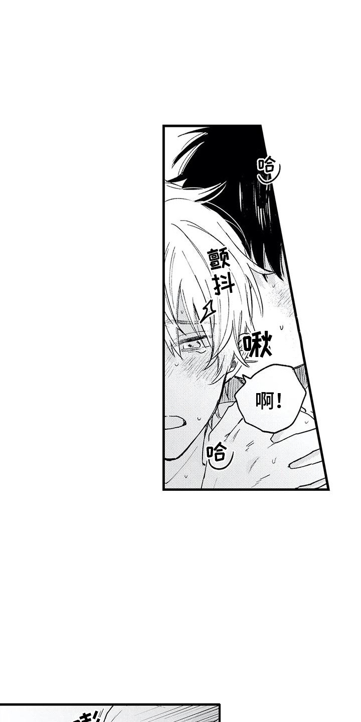 第34章：结为伴侣 3