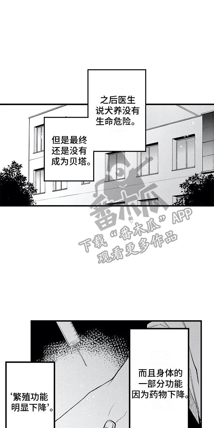 第32章：真心喜欢 12
