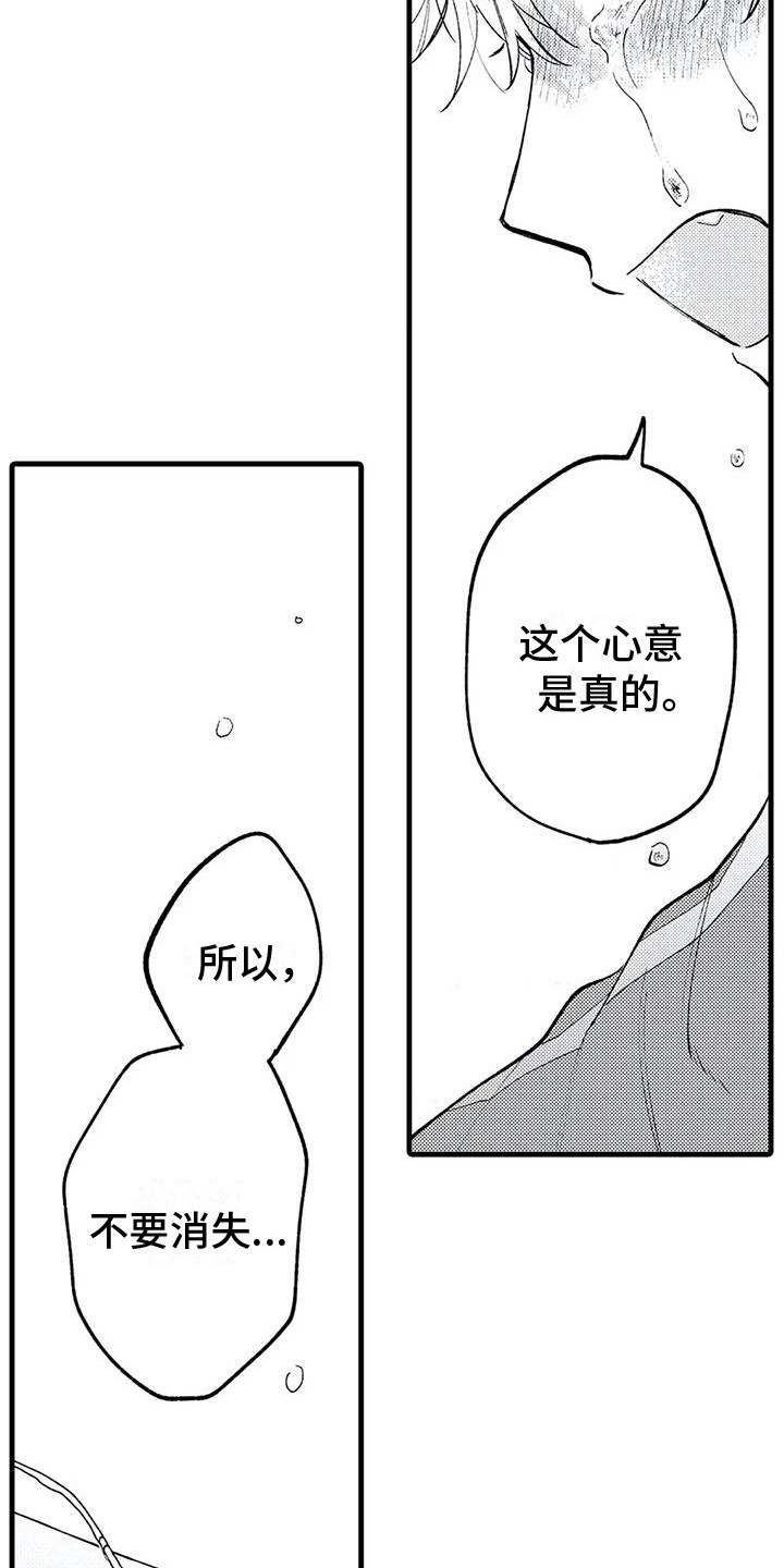 第30章：心意13