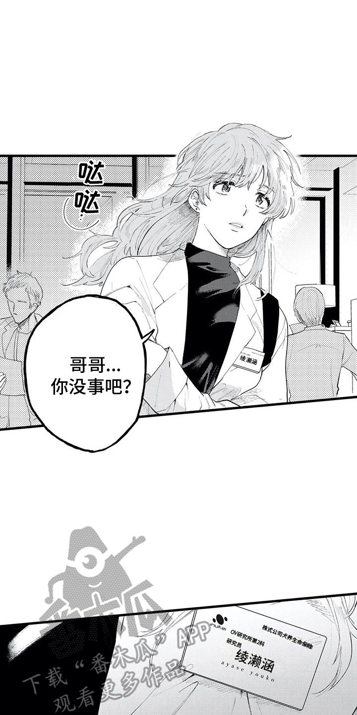 第11章：没接电话14