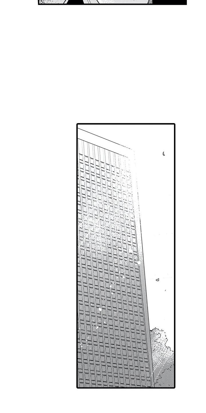 第25章：情感12