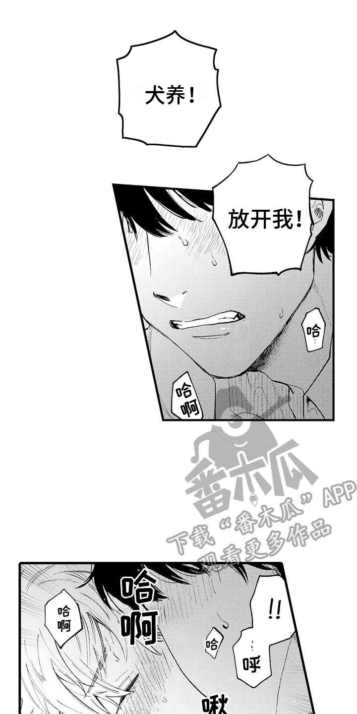 第16章：发热期 16