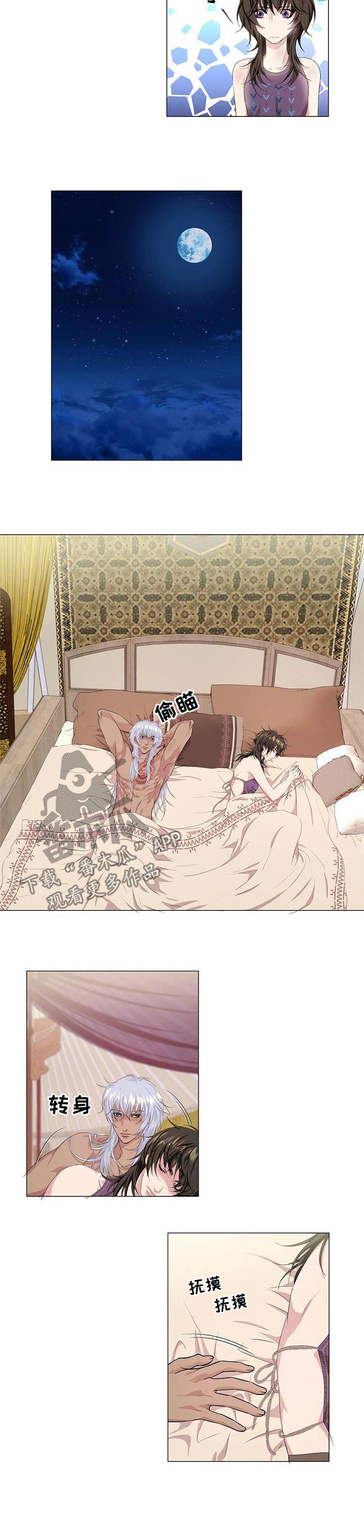 第50章：遵守约定7