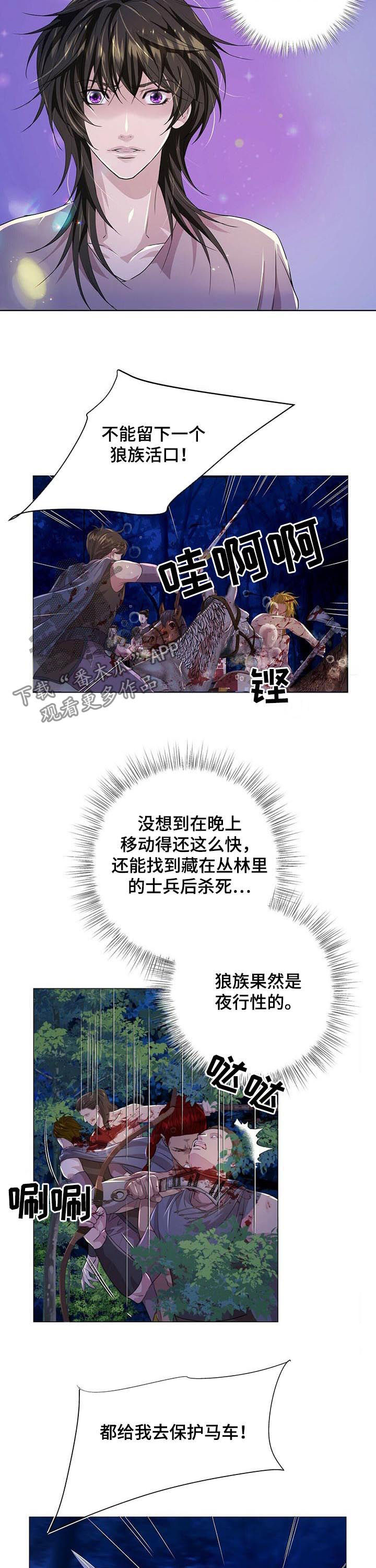 第76章：攻击2