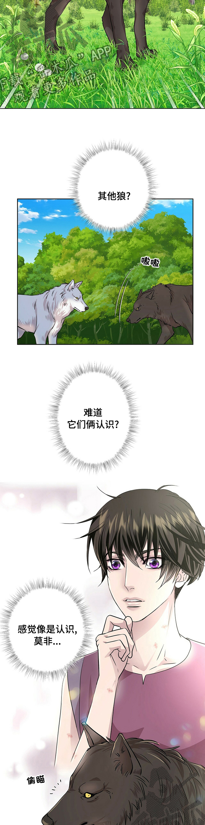 第99章：【第二季】其他狼5