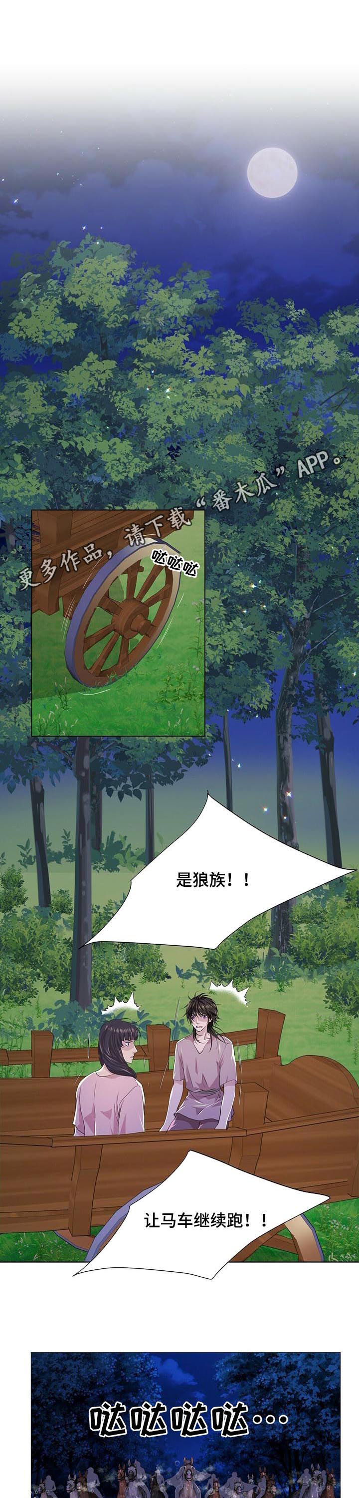 第76章：攻击0