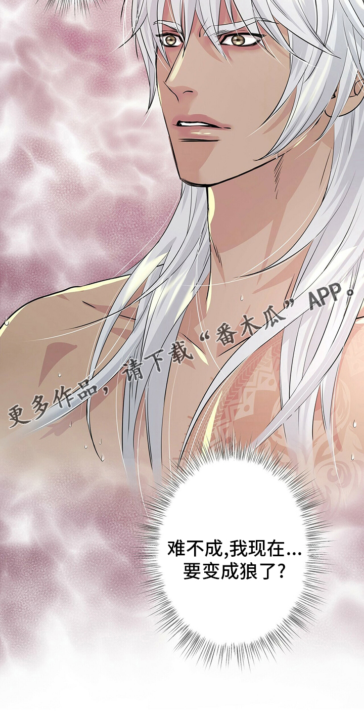 第116章：【第二季】要变成狼了？13
