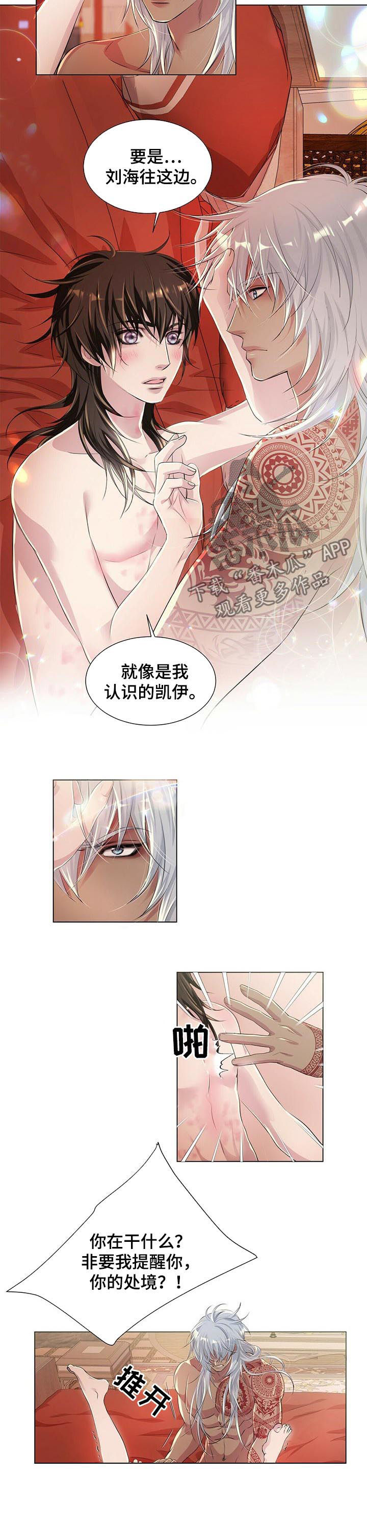 第41章：不要装5