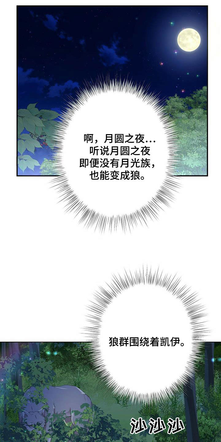第137章：【第二季】声音3