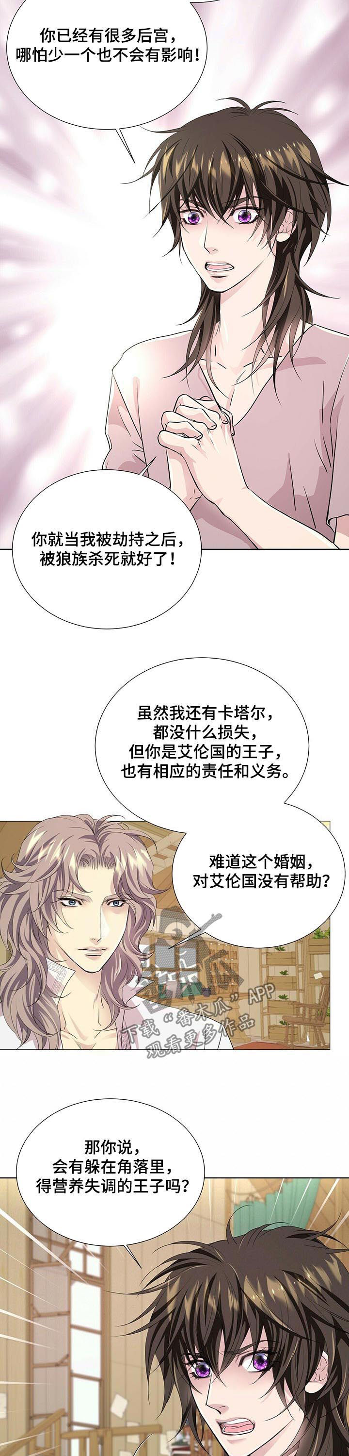 第75章：去卡塔尔6