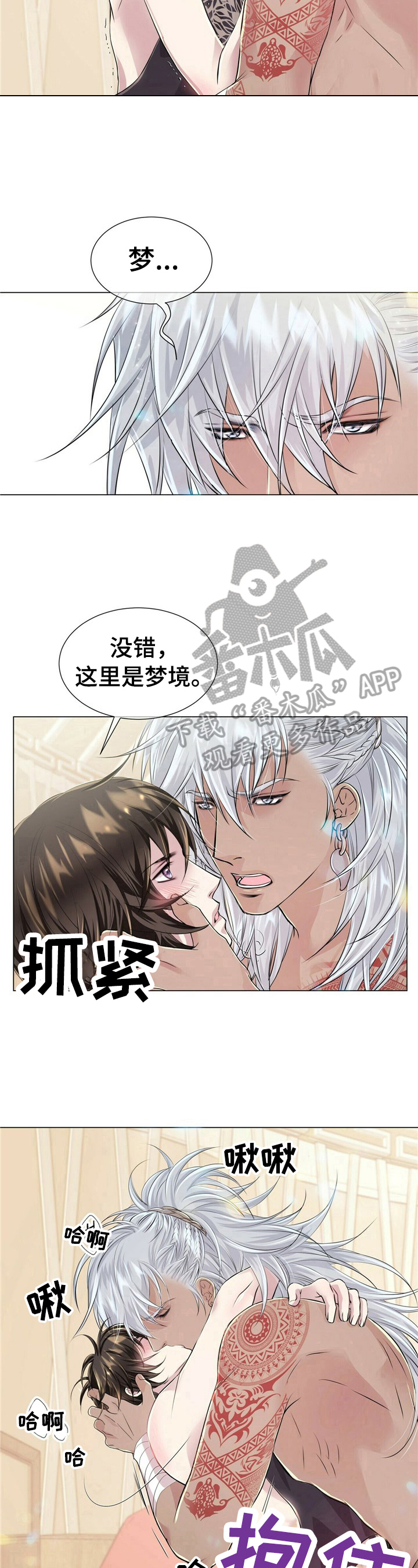 第15章：似梦2