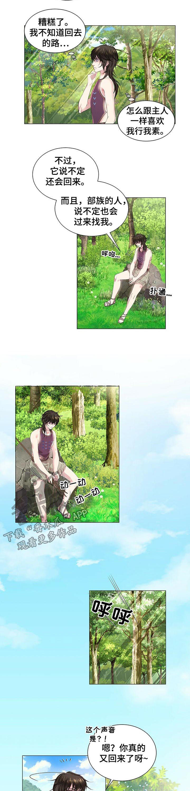 第45章：怎么补偿6