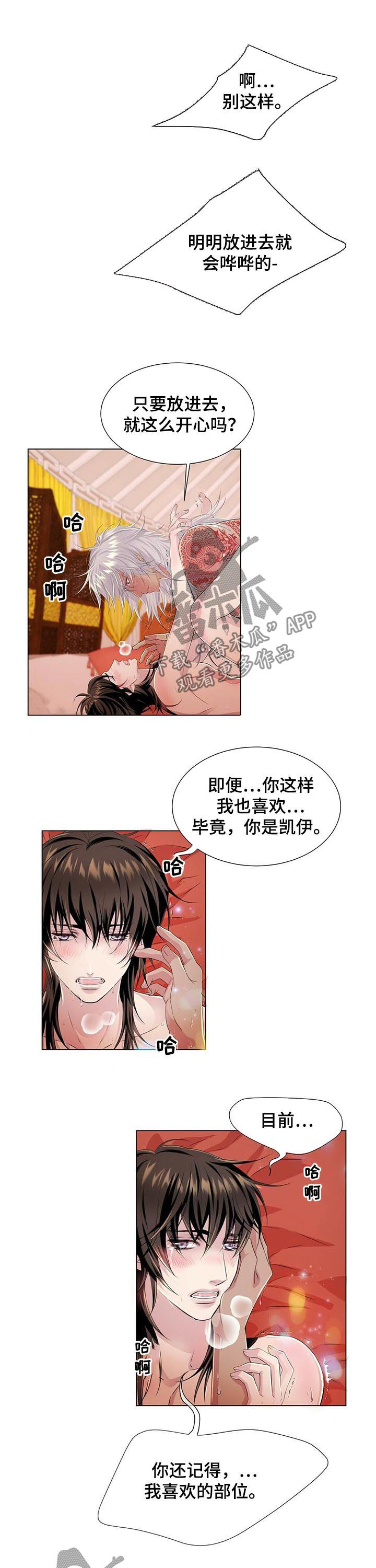 第41章：不要装6