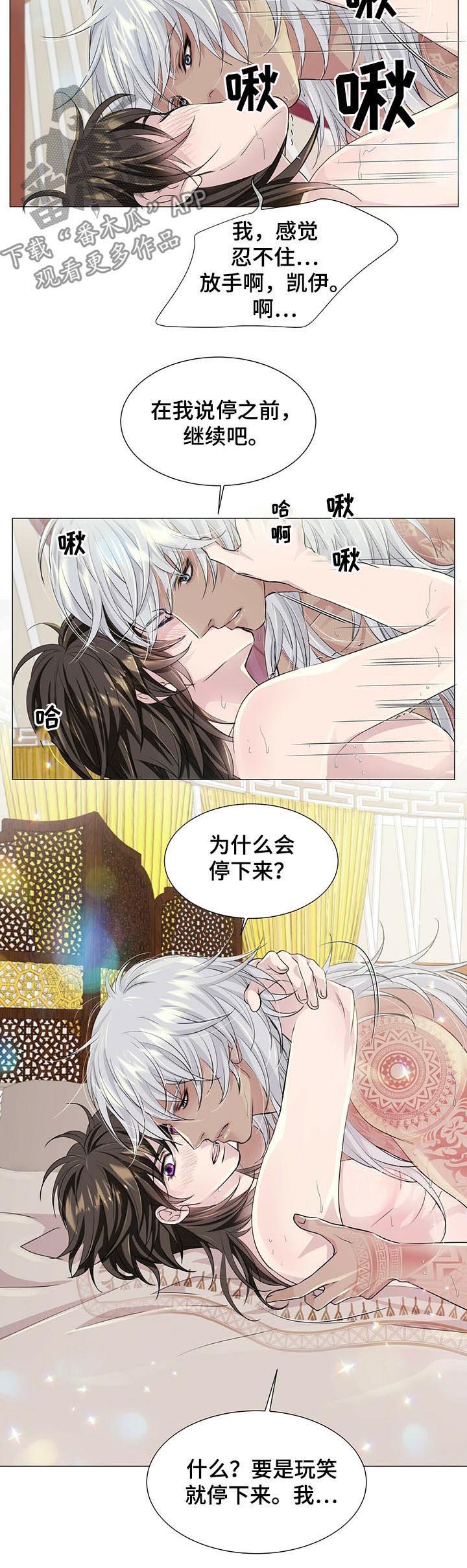 第56章：进展顺利2