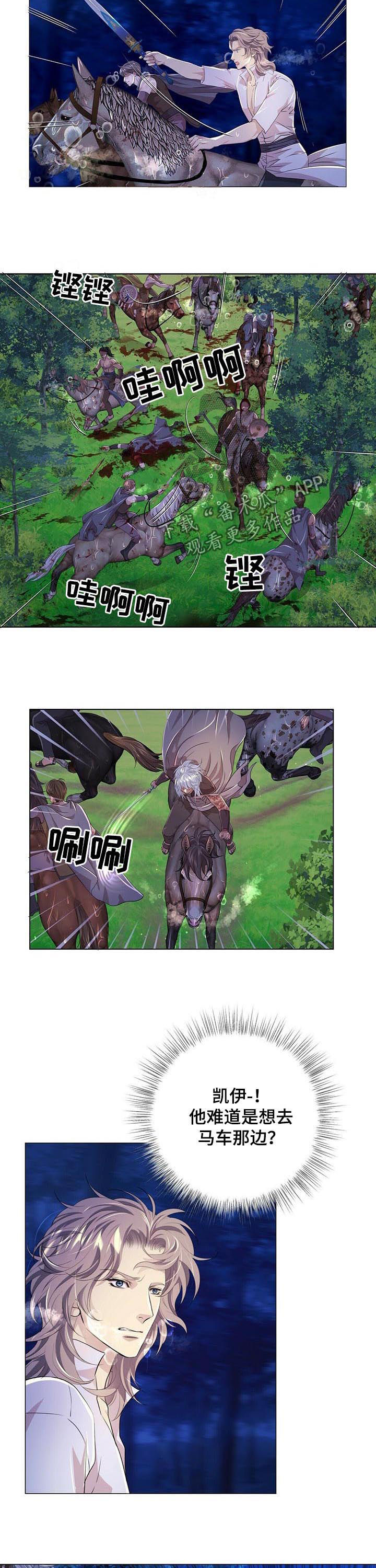 第76章：攻击3