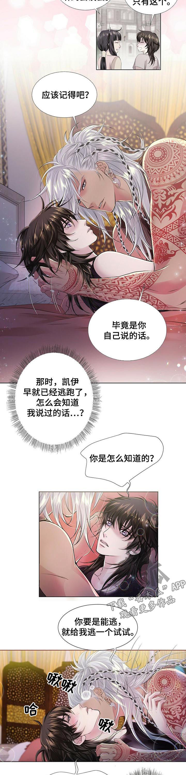第38章：宝盒7