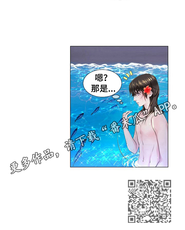 第28章：发现7