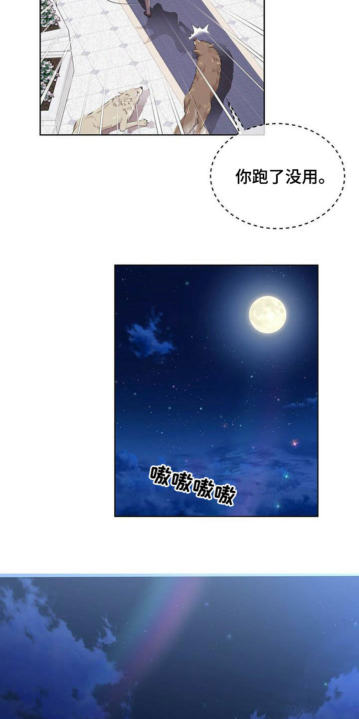 第138章：【第二季】对话17