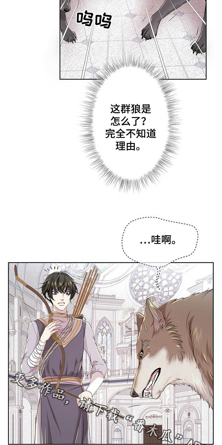 第137章：【第二季】声音20