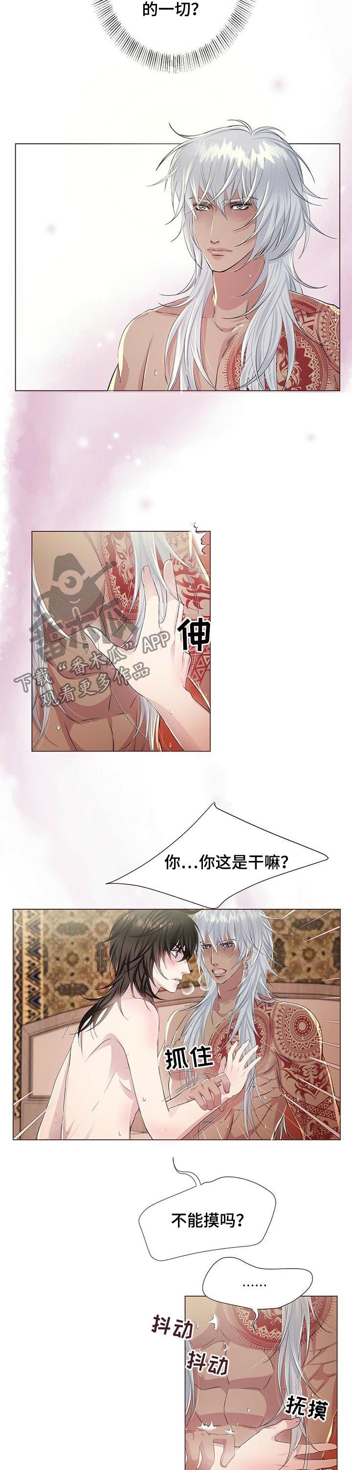 第42章：等到天亮1