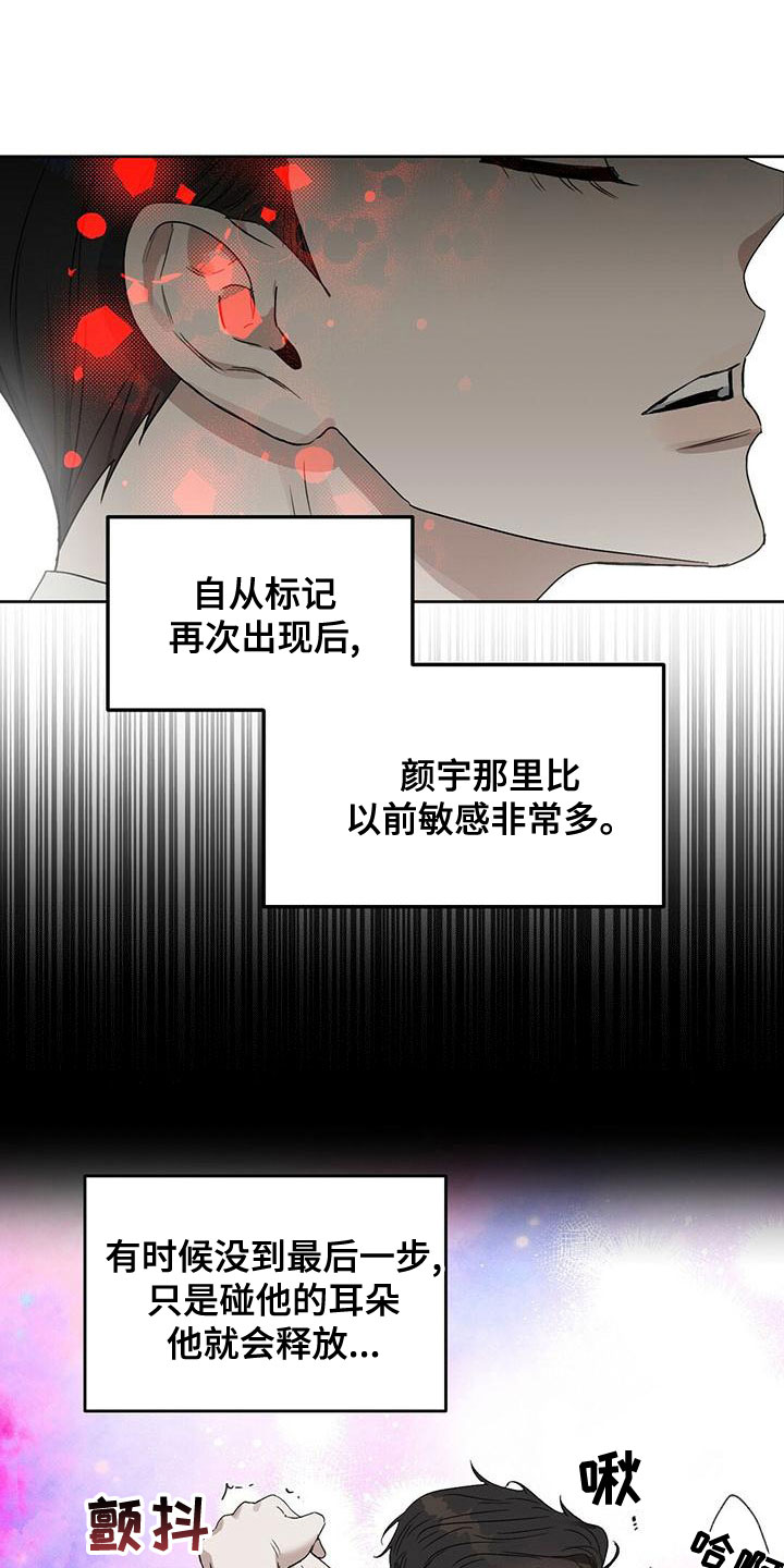 第157章：【番外】同样珍贵1
