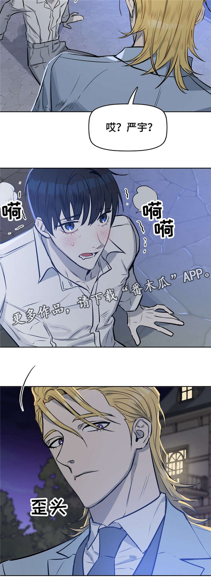 第17章：狗10