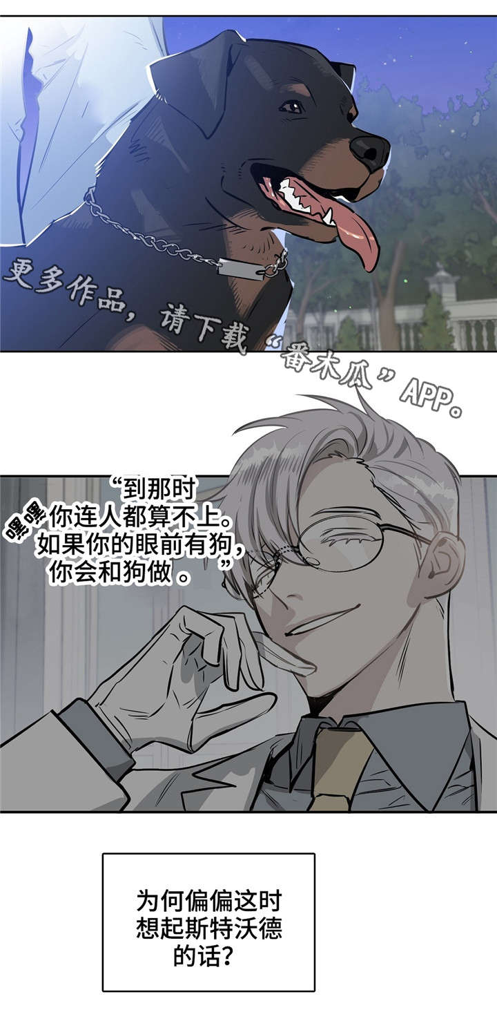 第17章：狗12