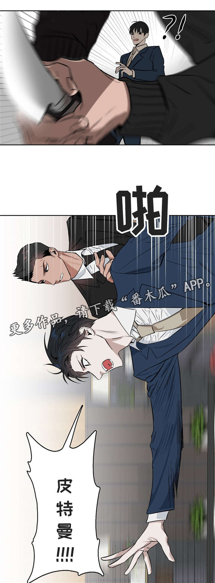 第23章：遇刺6