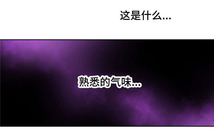 第12章：噩梦13