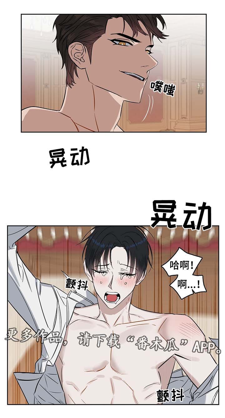 第34章：白天与黑夜6