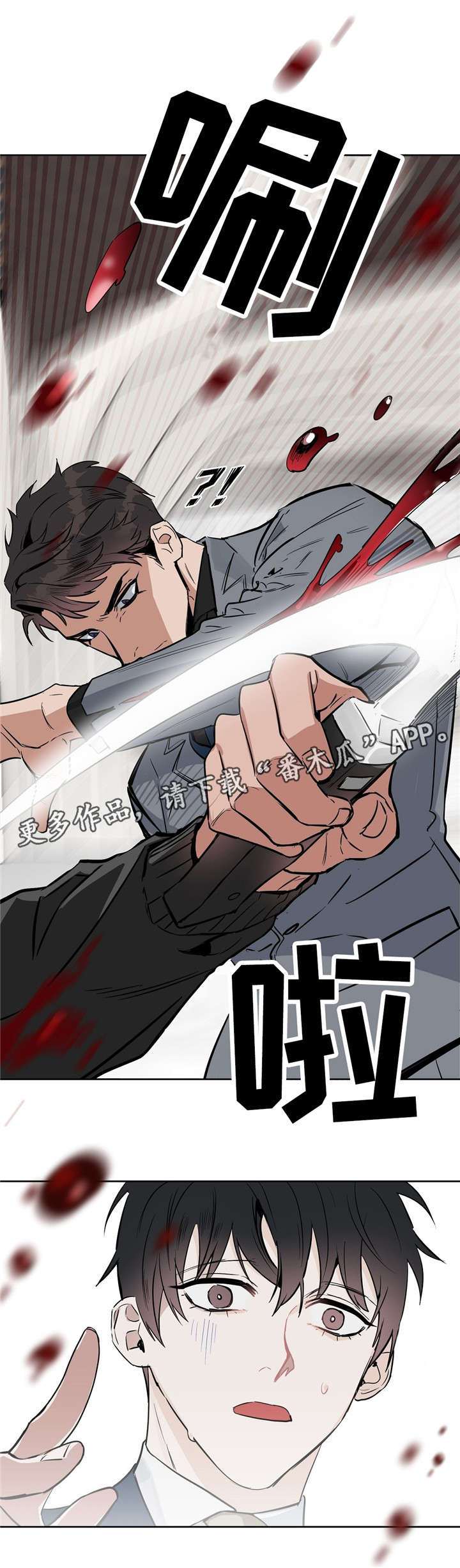 第23章：遇刺8