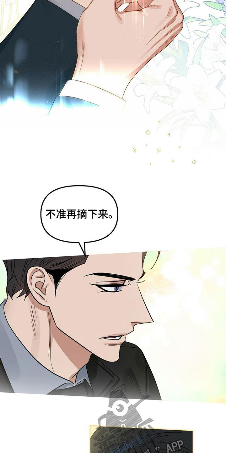 第126章：【番外】买戒指22