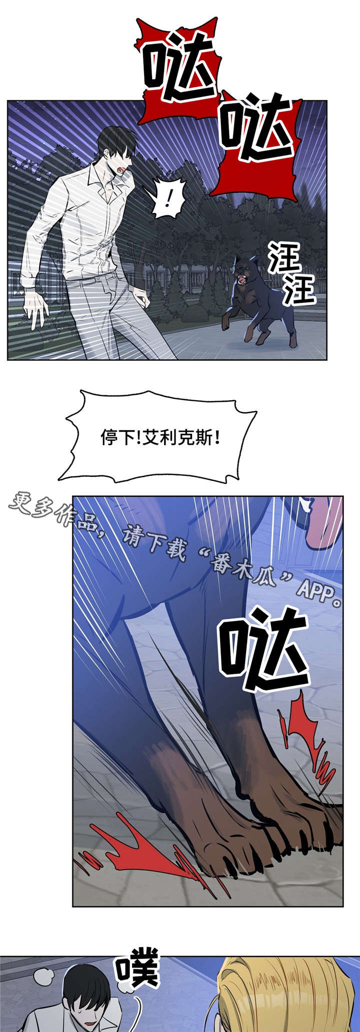第17章：狗9