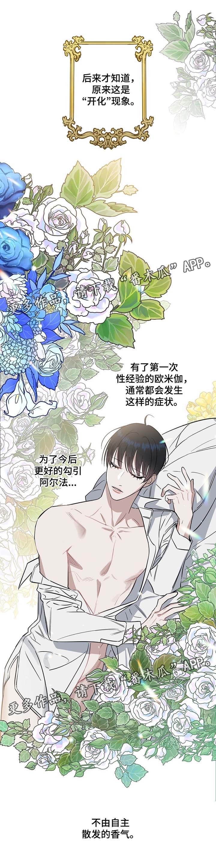 第37章：欧米伽的气味3