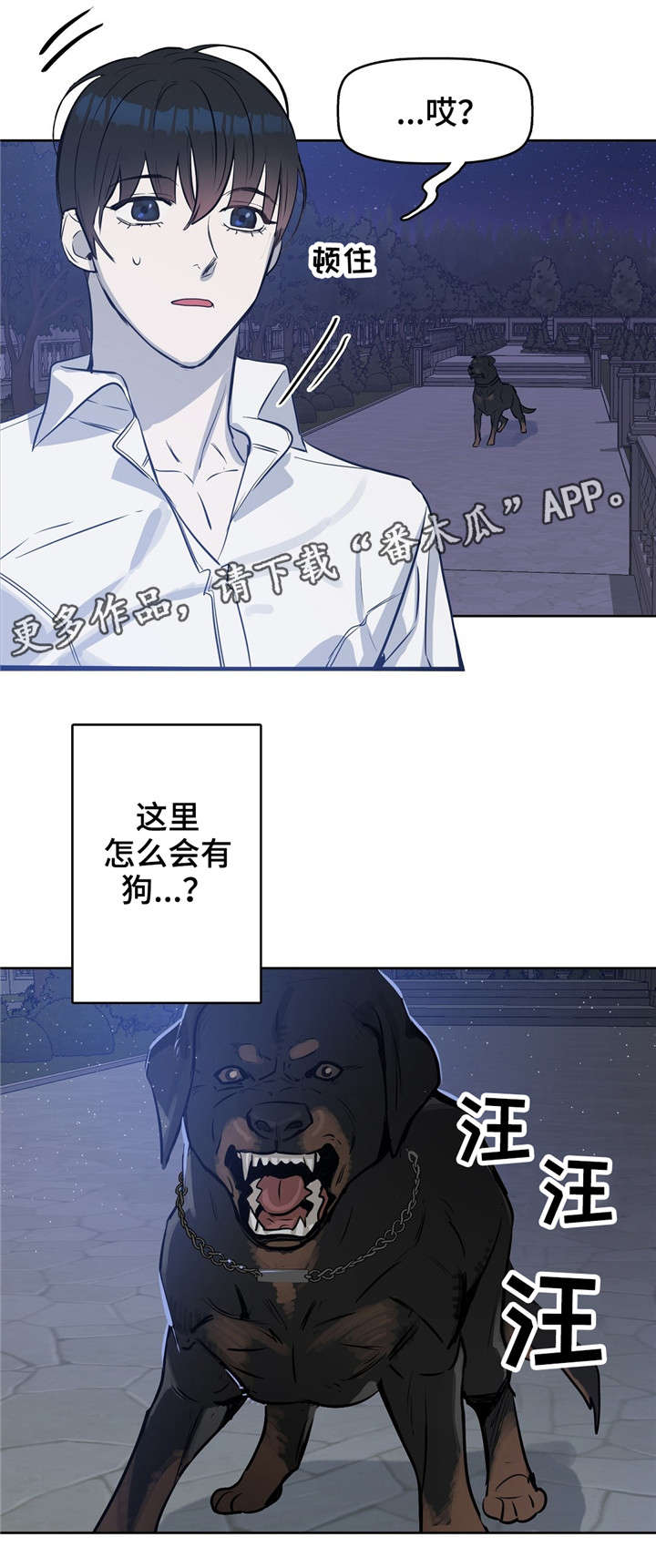 第17章：狗8