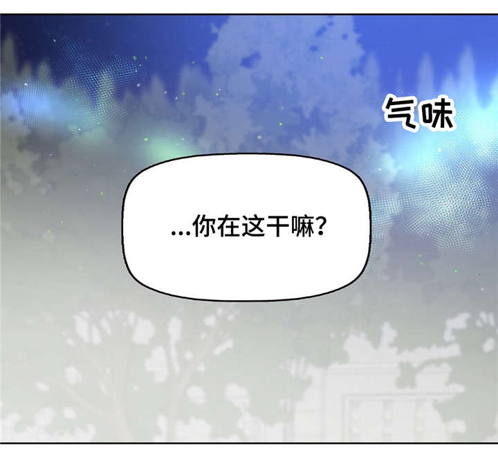 第17章：狗11
