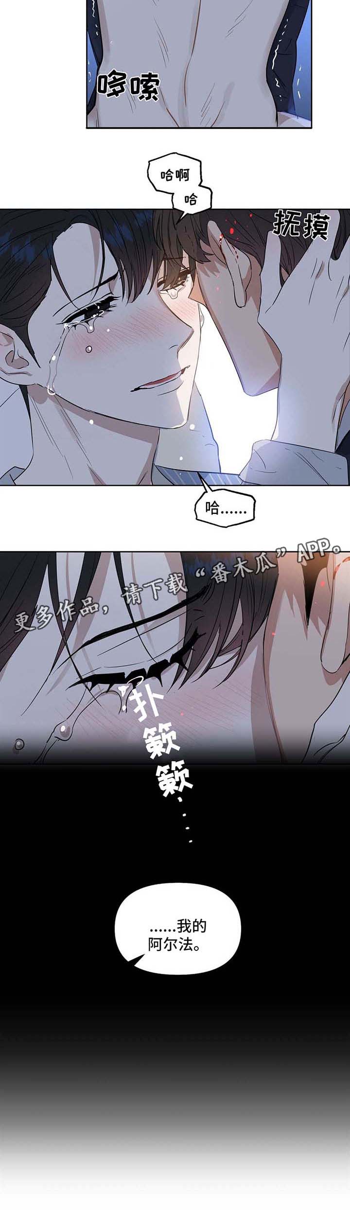 第53章：逃跑计划3