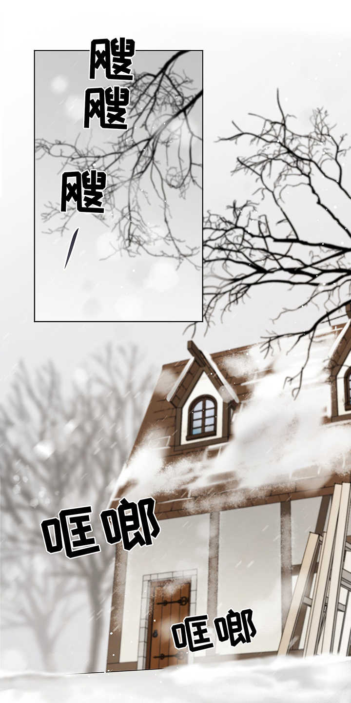 第2章：赝品10