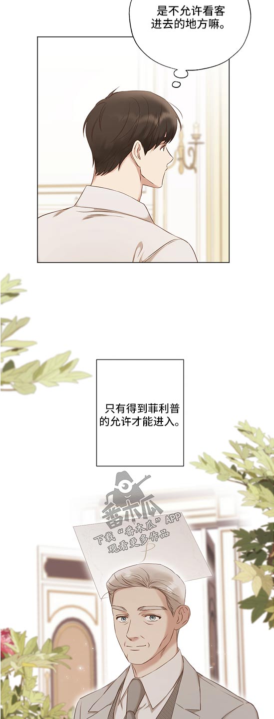 第55章：作品11