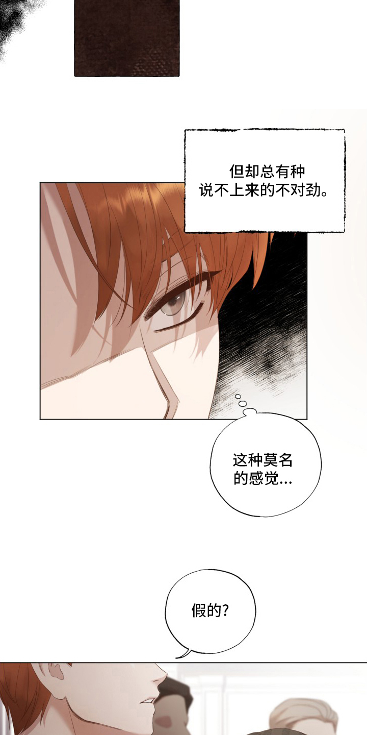 第38章：假的10