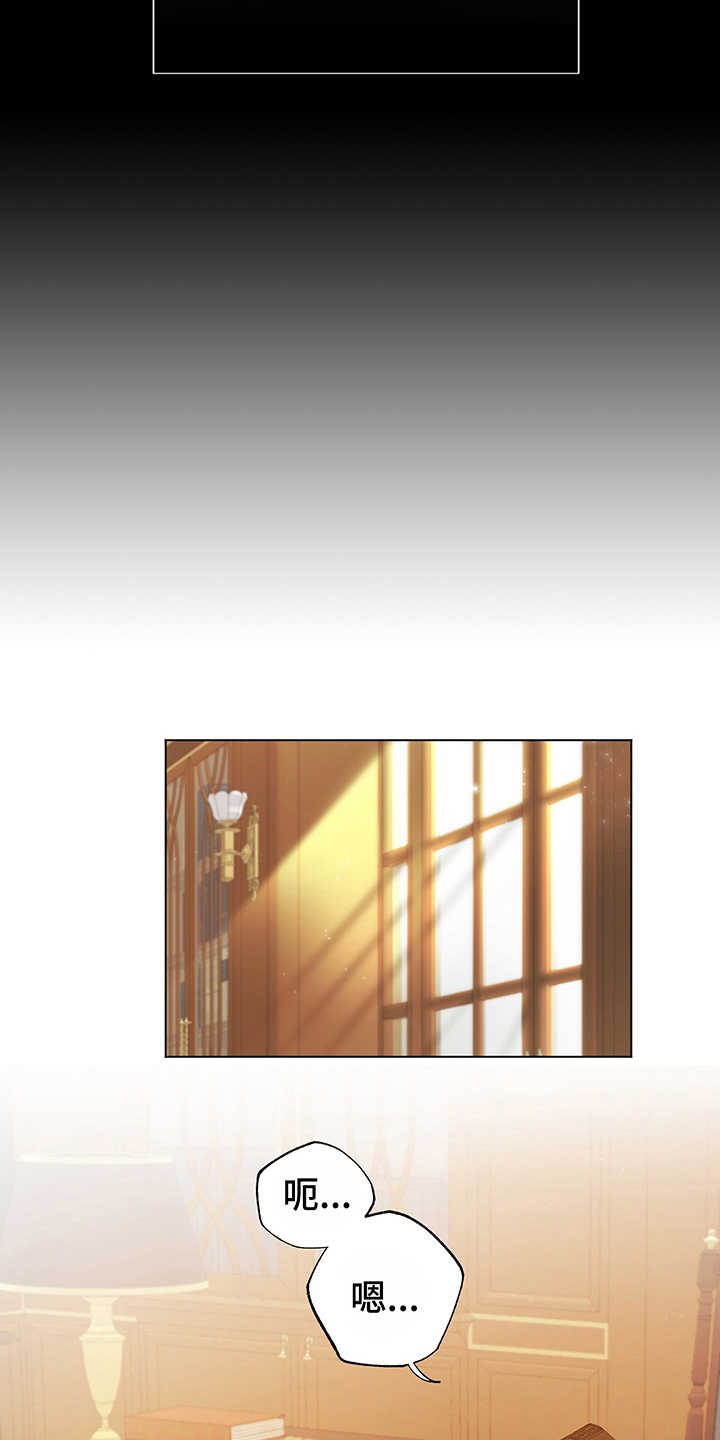 第11章：试验8