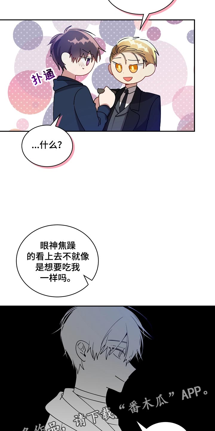 第49章：抽雪茄19