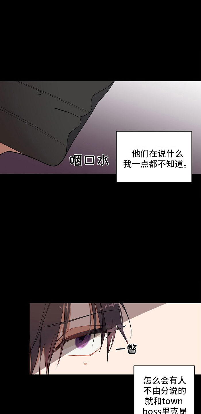 第5章：双胞胎17