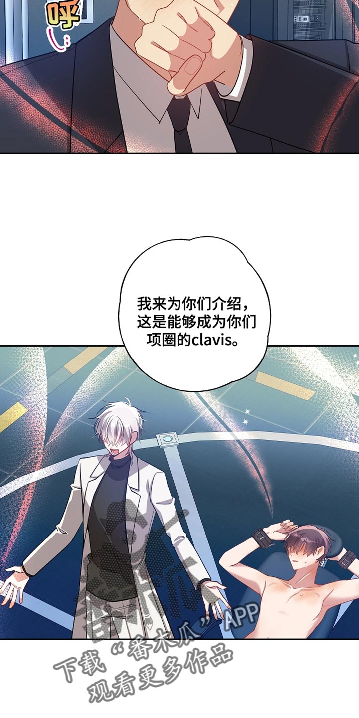第71章：鞠躬17
