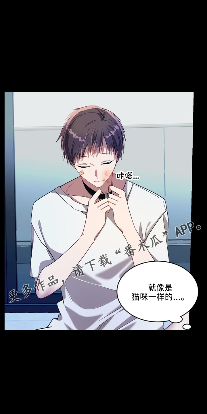 第24章：小猫咪16