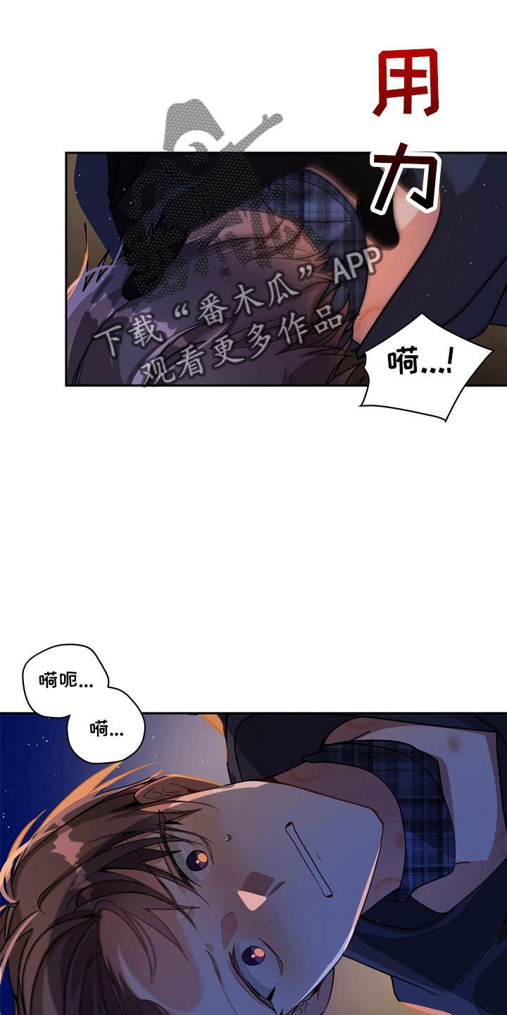 第33章：哪来的19